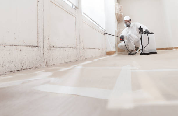 24/7 Emergency Mold Removal experts in Nokesville, VA